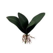 Folha de orquídea toque real 23ax9l/cm
