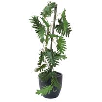 Folha grillo x19 philodendro arame plastico 51212-118