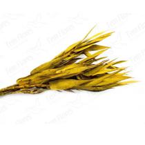 Folha Navalha Capim Navalha Amarelo Flor Buque Flores Secas