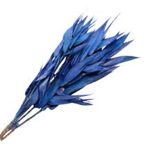 Folha Navalha Capim Navalha Azul 2 Buque Flores Secas Folha Navalha Capim Navalha Azul 2 Buque Flores Secas