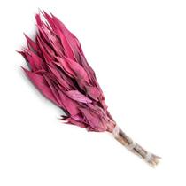 Folha Navalha Capim Navalha Buque Flores Secas - Pink