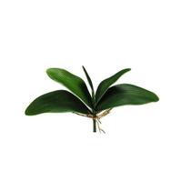 Folha Orquídea Artificial Toque Real c/ Raiz Flor Arte 25cm