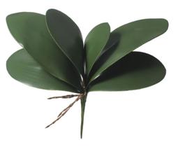 FOLHA ORQUIDEA PHALAENOPSIS C/ARAME X6 (VERDE) 33cm FOLHA ORQUIDEA PHALAENOPSIS C/ARAME X6 (VERDE) 33cm
