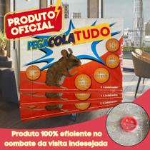 Folha Para Controle de Pragas Cola Adesiva Pega Tudo Kit com 3