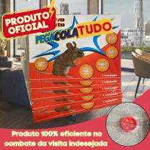 Folha Para Controle de Pragas Cola Adesiva Pega Tudo Kit com 5