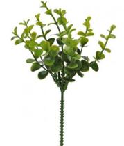 FOLHA PICK EUCALIPTO C/PRINT PLT VERDE 2T 23cm