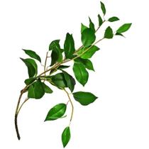 Folha Real Toque Flor Arte 25x83cm