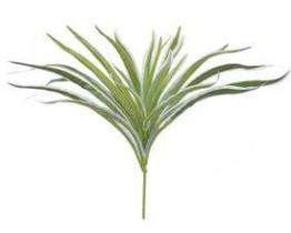 Folhagem Artificial Dracena Verde Creme 35cm Folhagem Artificial Dracena Verde Creme 35cm