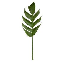Folhagem Costela de Adao 23x58cm (LxA)