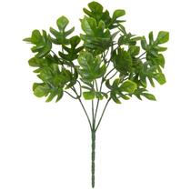 Folhagem de Costela de Adão verde x36 30 cm