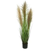 Folhagem Grass Pampas Com Pote Verde 1,2m Folhagem Grass Pampas Com Pote Verde 1,2m