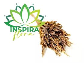 Folhagem Para Arranjos Luxo Desidratado Secos Holo Antigo