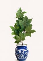 Folhagem Parreira com Semente Verde - 80 cm