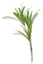 FOLHAGEM PERMANENTE DECORATIVA 63cm