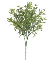 FOLHAGEM PODOCARPUS X15 VERDE 30cm FOLHAGEM PODOCARPUS X15 VERDE 30cm