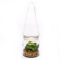 Folhagem Suculenta de Pendurar Com Vaso de Vidro Verde 11 cm F04 - D'Rossi Folhagem Suculenta de Pendurar Com Vaso de Vidro Verde 11 cm F04 - D'Rossi