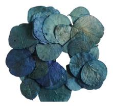 Folhas Azul Secas Desidratadas Decoração Enfeite