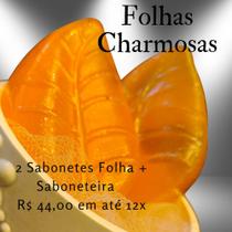 Folhas Charmosas