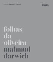 Folhas Da Oliveira