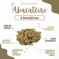 Folhas de Abacateiro 1 kg MINAS ATACADISTA Folhas de Abacateiro 1 kg MINAS ATACADISTA