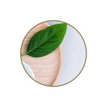 Folhas de Abacateiro 250g Chá Folhas de Abacateiro 250g Chá