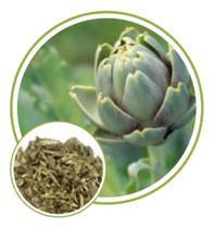 Folhas de Alcachofra 500G Folhas de Alcachofra 500G