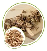Folhas de Angélica Raiz 500g Folhas de Angélica Raiz 500g