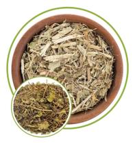 Folhas de Echinodorus 100g Folhas de Echinodorus 100g