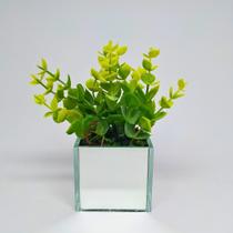 Folhas de Eucalipto com Vaso Espelhado Folhas de Eucalipto com Vaso Espelhado
