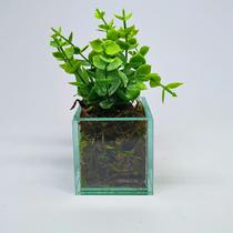 Folhas de eucalipto com vaso transparente