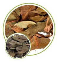 Folhas de Jambolana 100g Folhas de Jambolana 100g