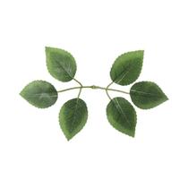 Folhas De Rosa De Seda 30 Peças Decorações De Natal Para Casa Casamento Pulso Da Noiva Plantas