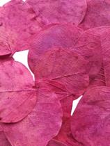 Folhas Moedas Secas Rosa Decorativas Para Pout Pourrit 30 Gramas