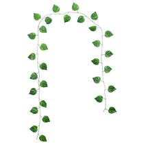 Folhas pendentes de Peperômia Melancia 2,4 metros