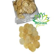 Folhas Secas Natural Desidratadas Decoração Ornamentação