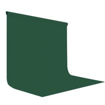 Fondo plegable LYLYCTY 305x305 cm verde oscuro 10x10 pies Fondo plegable LYLYCTY 305x305 cm verde oscuro 10x10 pies