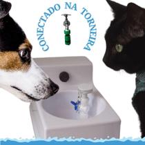 Fonte Bebedouro De Água Gato É Vida - H2Tec