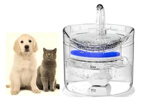 Fonte De Água 1,8L Para Gatos Bebedouro Elétrico Transparente