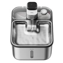 Fonte de água Cat Qinliy em aço inoxidável 3.6L sem fio