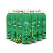 Fonte de montanha purificada com clorofila de água com vitaminas, 12 unidades Fonte de montanha purificada com clorofila de água com vitaminas, 12 unidades