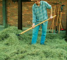 Forcado Reto de Arame com 4 Dentes Tramontina em Aço sem Cabo