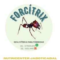 Forcitrix - isca cítrica para controle de formigas cortadeiras