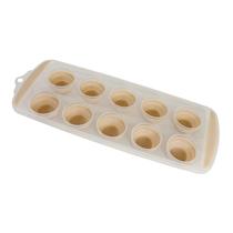 Forma de Gelo com Base Retrátil de Silicone Com 10 Cavidades - TAIRA HOME