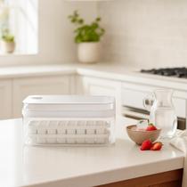 Forma De Gelo Dupla Com Dispenser E Tampa Caixa 2 Bandejas