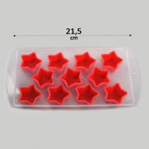 Forma de Gelo Plastico 21x11 Fundo Silicone