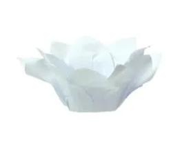 Forma Doce Flor Veneza Branca 800 C/40 Plac