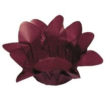 Forma Lirio Marsala 40 Un - Decora Forma Lirio Marsala 40 Un - Decora