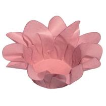 Forma Lirio Rosa Seco 1 40 Un - Decora