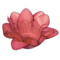 Forma Lirio Rosa Seco 2 40 Un - Decora