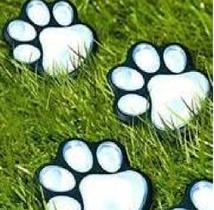 Forma/molde Pisante Abs Caminho Jardim Pata De Cachorro 49cm Forma/molde Pisante Abs Caminho Jardim Pata De Cachorro 49cm